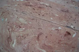 Pavimento in cotto variegato — immagine 2 di 2