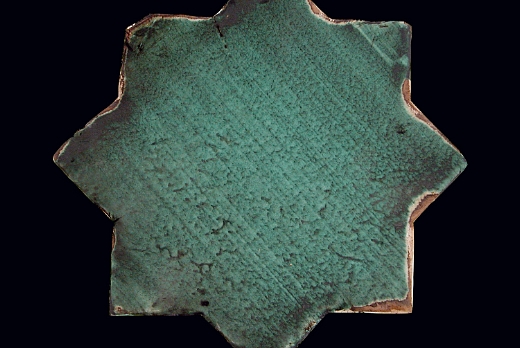 MedioEvo - stella ramina