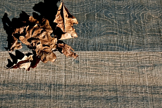 VILLA CORNARO ( collezione LE VILLE PALLADIANE)